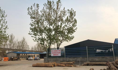 武林木材加工厂